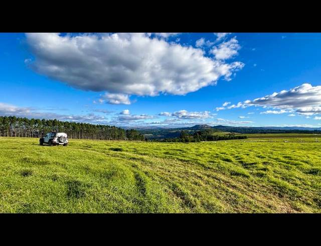 FARM FOR SALE IN MOUNT VERDE